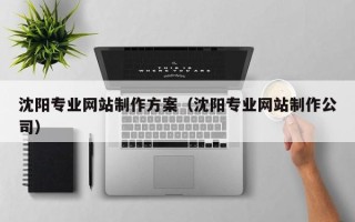 攀枝花沈阳专业网站制作方案（沈阳专业网站制作公司）